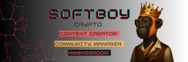 King of King$ banner