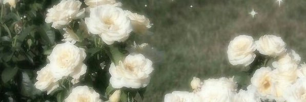 𝐑𝐮𝐧𝐚 banner