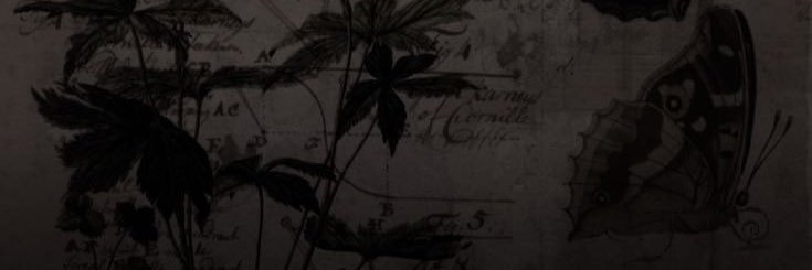 elsa_787's profile banner image