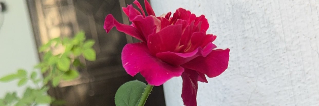 KhanShaw1994's profile banner image