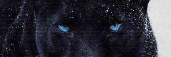 Persian___1's profile banner image