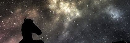 paivalyssa's profile banner image