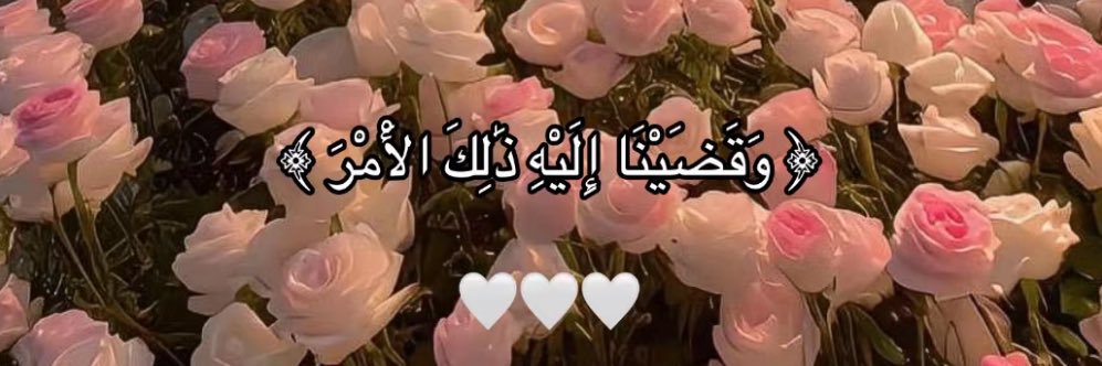 eh8mkm's profile banner image