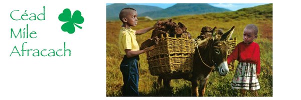 AmalekMax Profile Banner