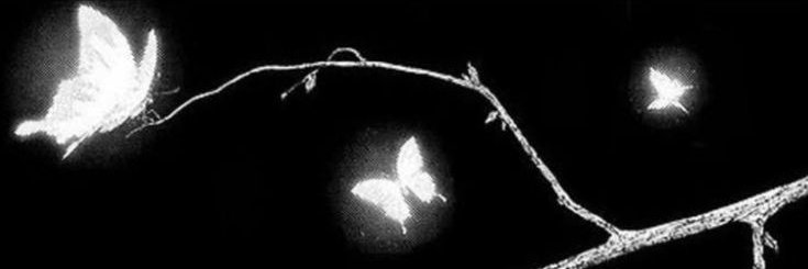 ༺ 𖦞 ༻ banner