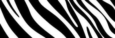 TheJaydenNaomi's profile banner image