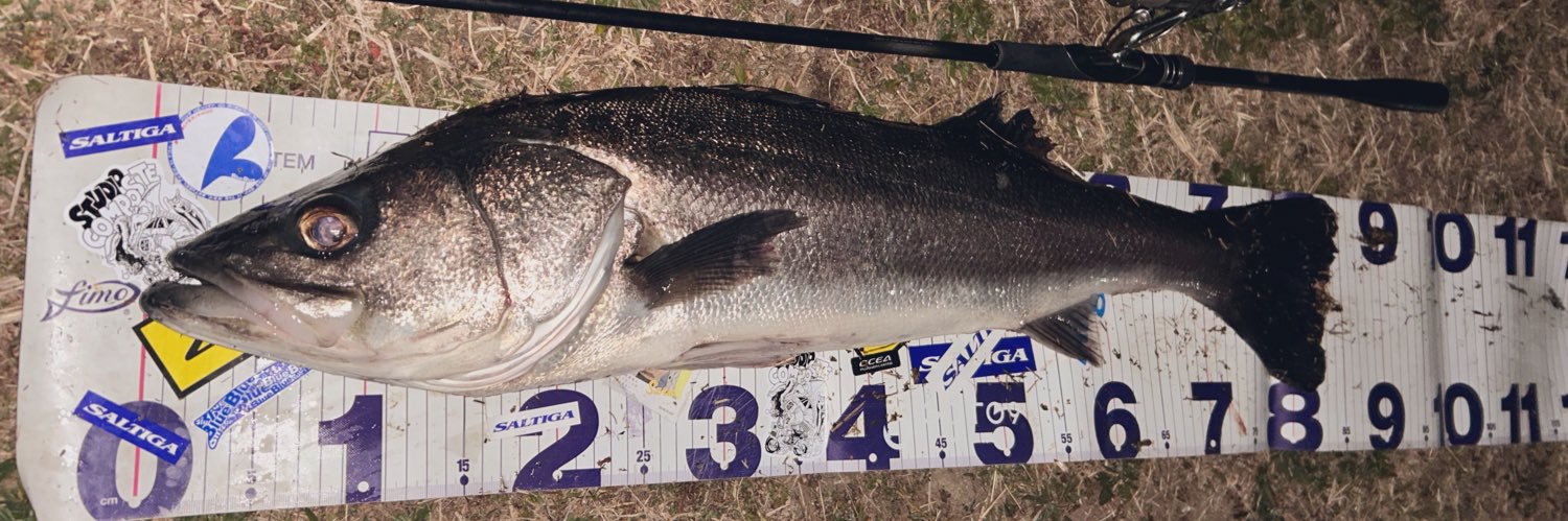 高一チャリアングラー🎣🚲🐟 banner