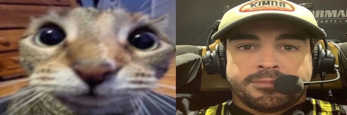 bubblelaws's profile banner image