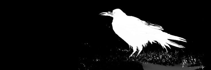 joebadboy1234's profile banner image