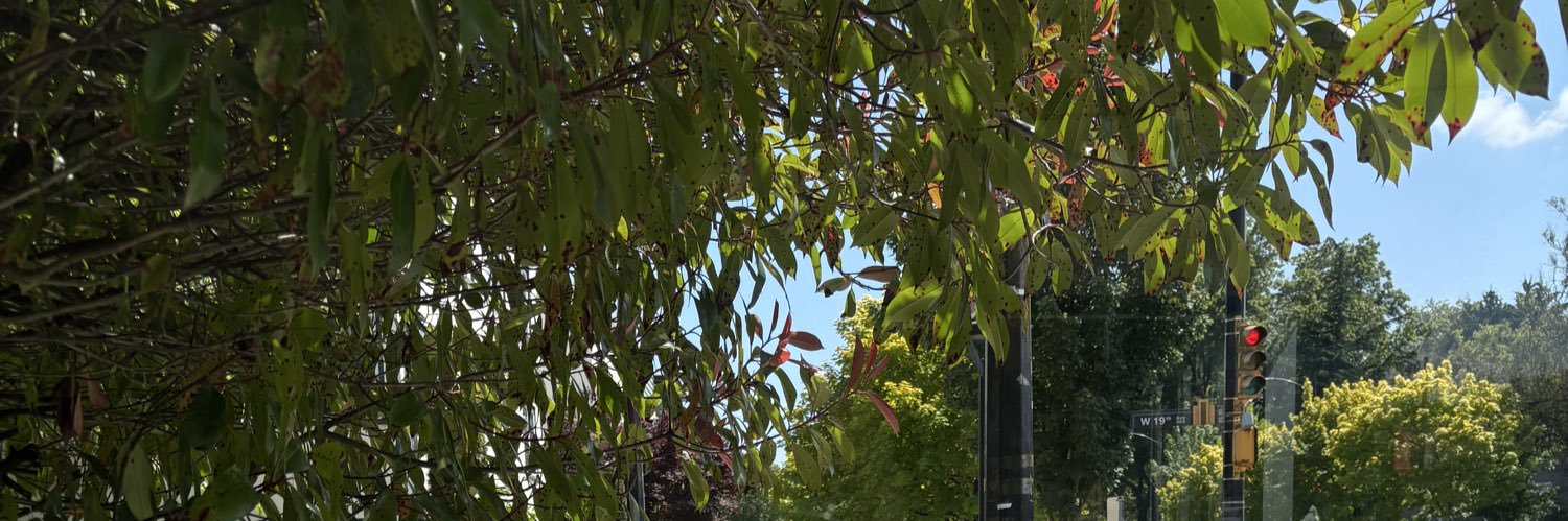 ntknrYR's profile banner image