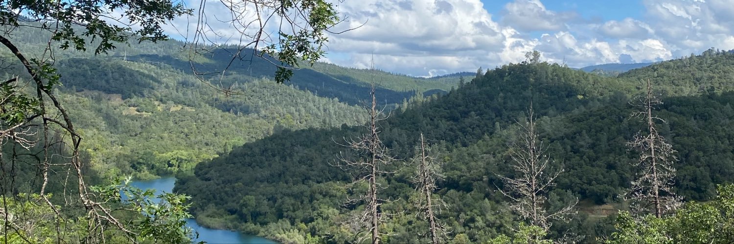 purplelagoon1's profile banner image