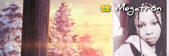 Miss Megatron's banner