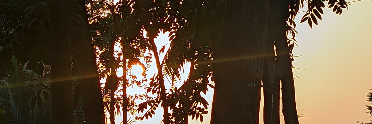 Rabby Al Sohan 🇧🇩 banner