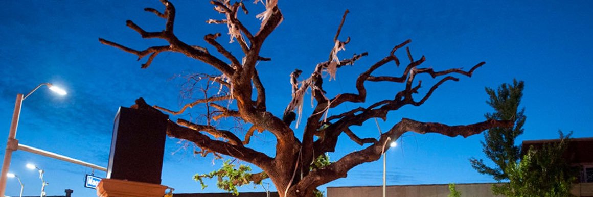 spike 80df-rtr banner