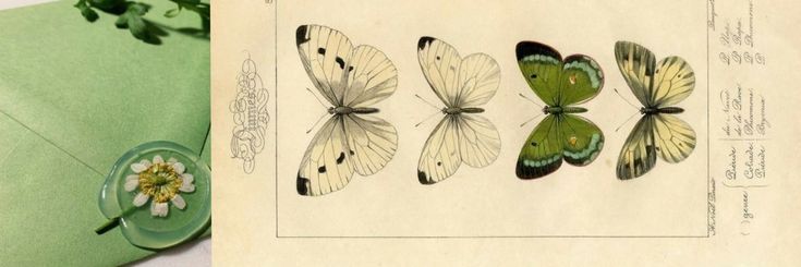 moved no fixado banner