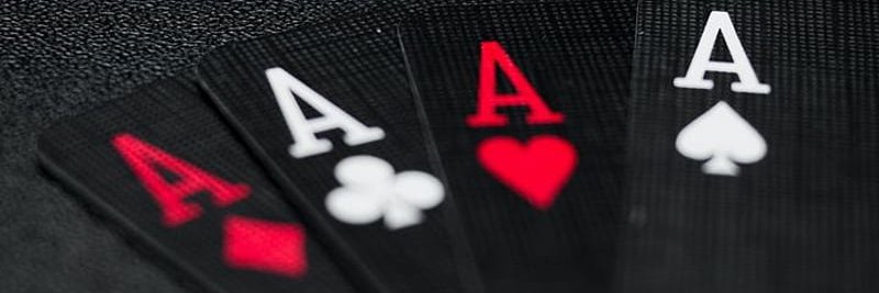 𝓩𝖊𝖈𝖆 𝕭𝖊𝖗𝖓𝖆𝖗𝖉𝖔 banner