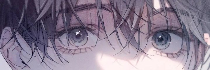 flymushy's profile banner image