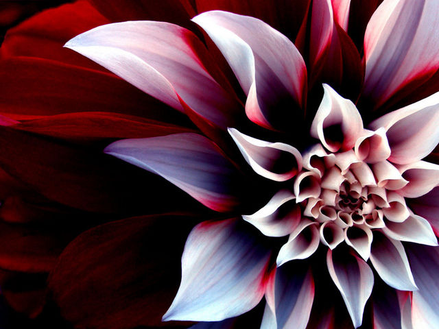 lieffie14's profile banner image