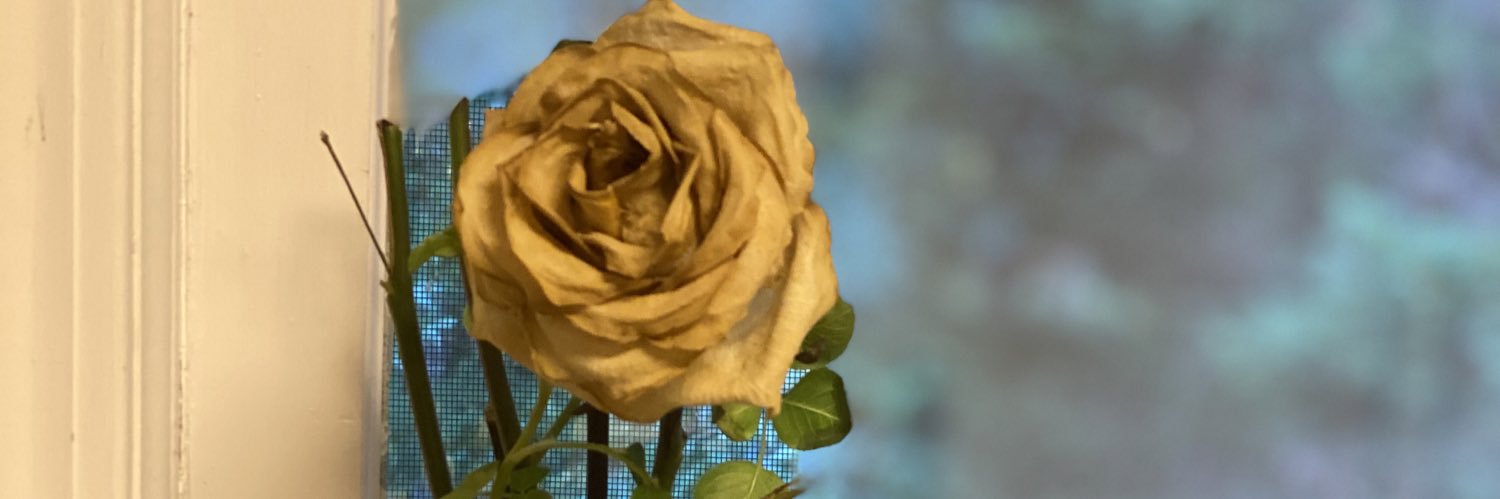 lomaloli's profile banner image