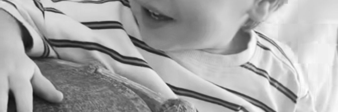 Mar_______ banner