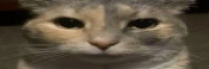 maktooh's profile banner image
