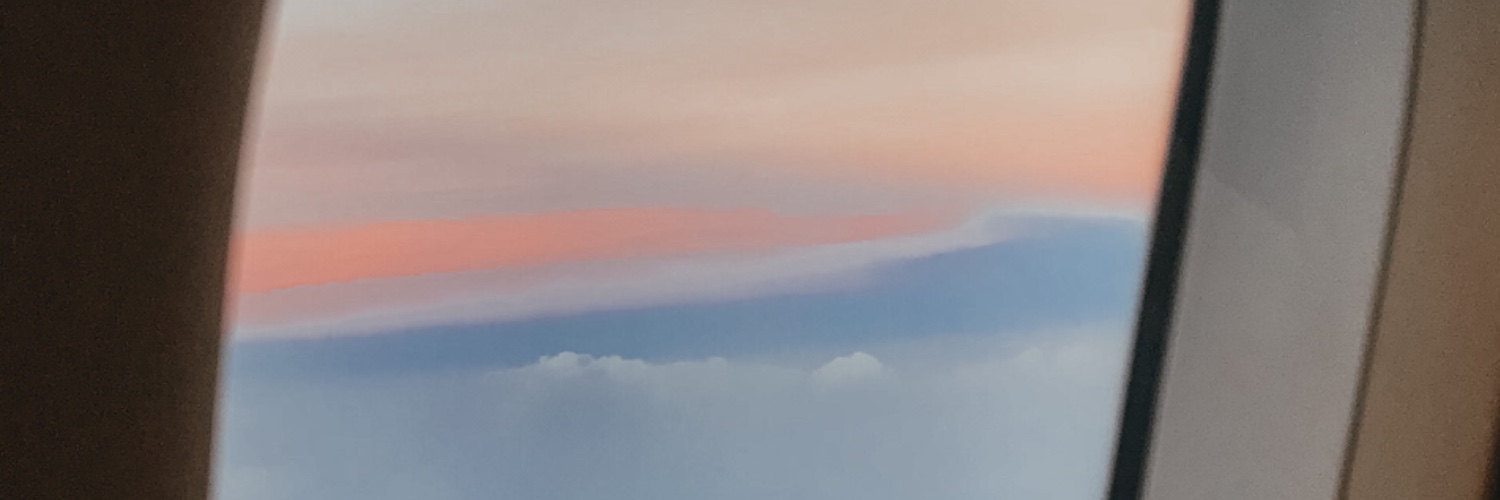 LauraMesiandani's profile banner image