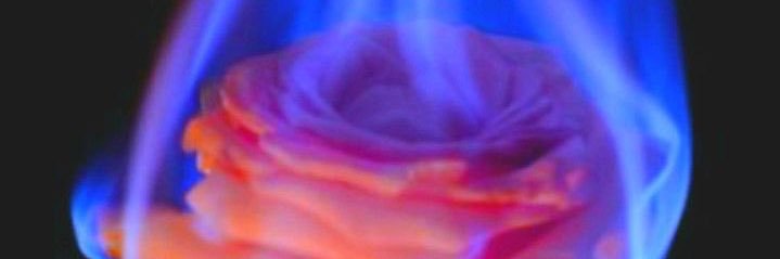 Lady Dragon 🐲 banner