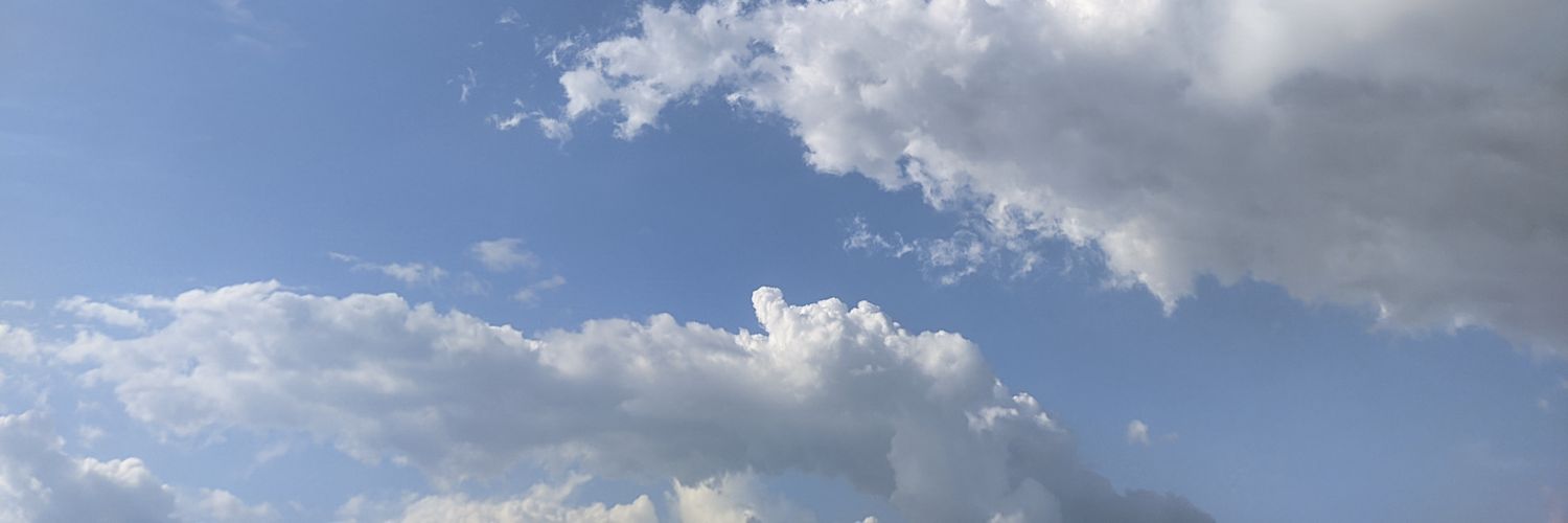 nomponone's profile banner image