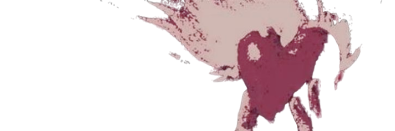 bwiitched's profile banner image