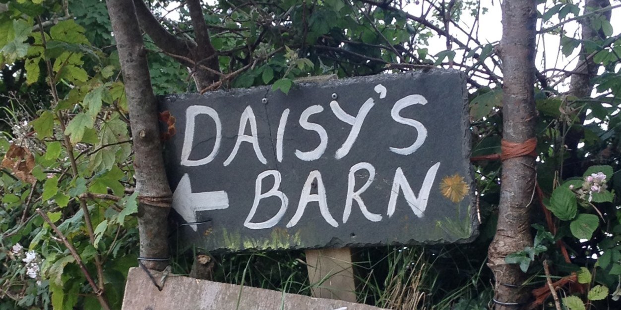 DaisyConner's profile banner image