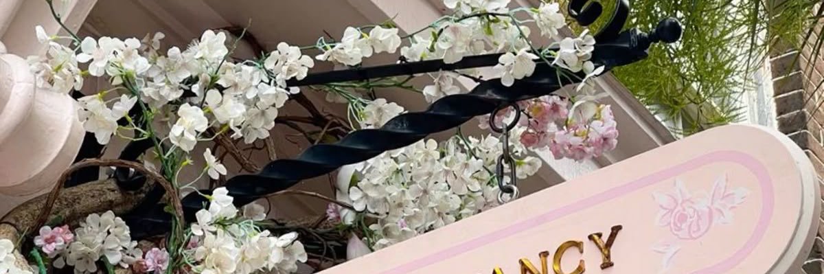 ⋆. 𐙚 Raaa banner