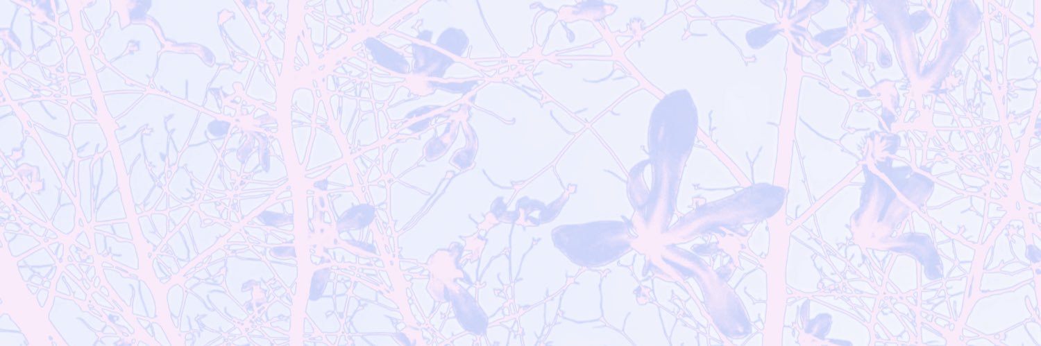🍀 banner