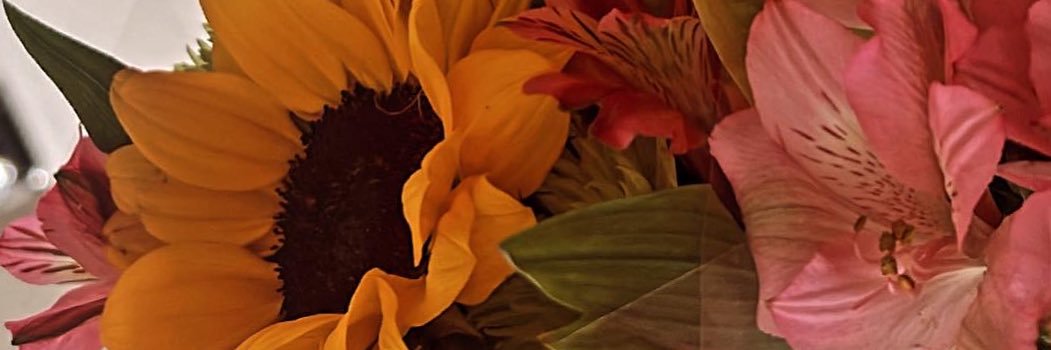 shaVarrah's profile banner image