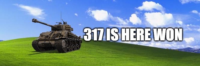 317 banner