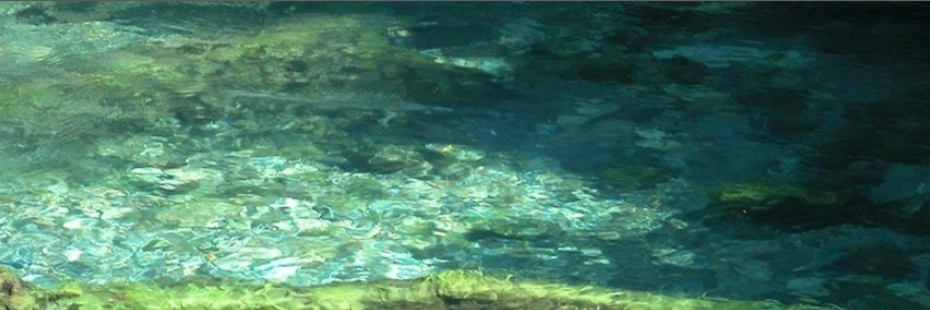 jjllau's profile banner image