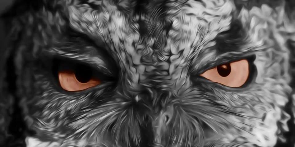 PatriciusLex's profile banner image