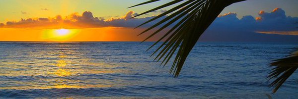 Dr_Elkhatib_01 Profile Banner