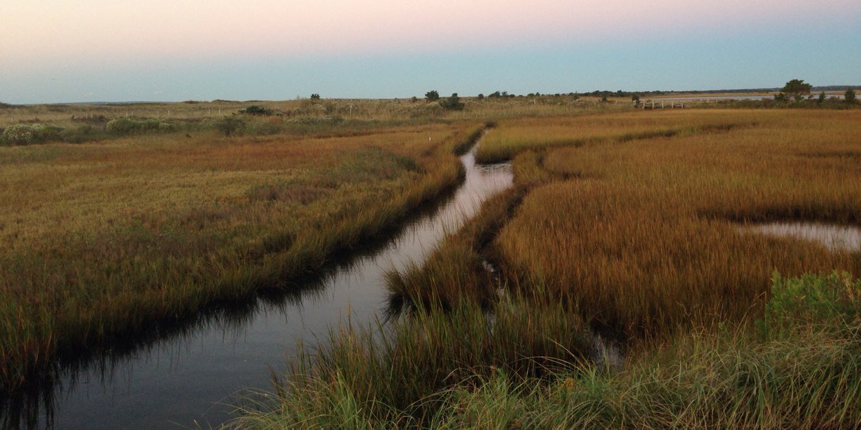 CapeCodChick's profile banner image