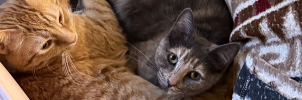 soupzachary Profile Banner