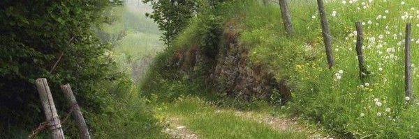 loras Profile Banner