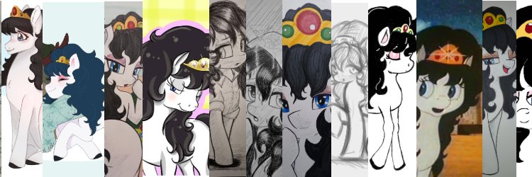 Preciosashubby's profile banner image