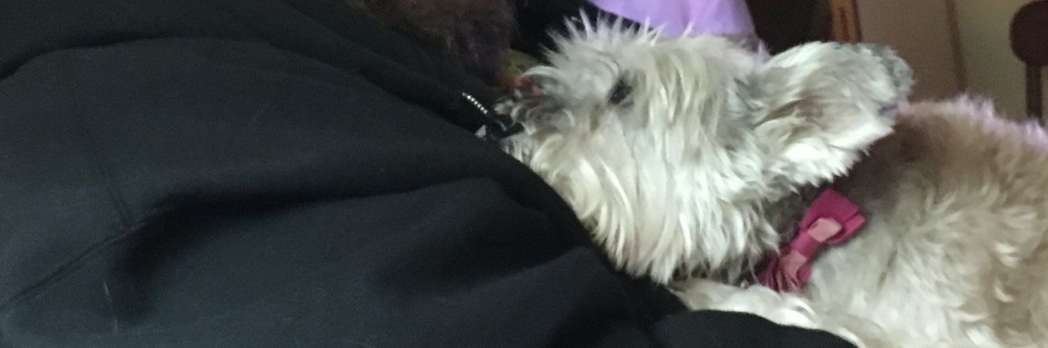 CapnBaka's profile banner image