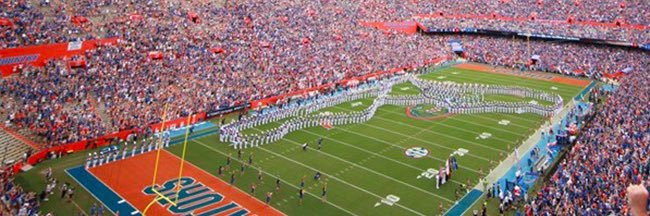 Gator Fanatic banner