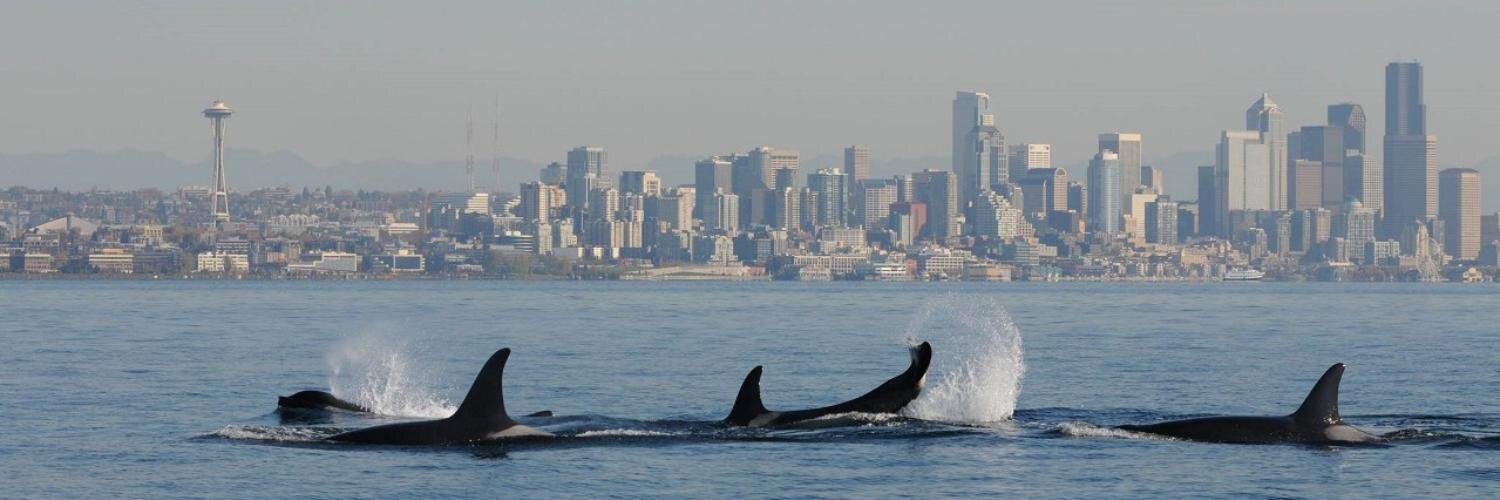 seattlegus's profile banner image