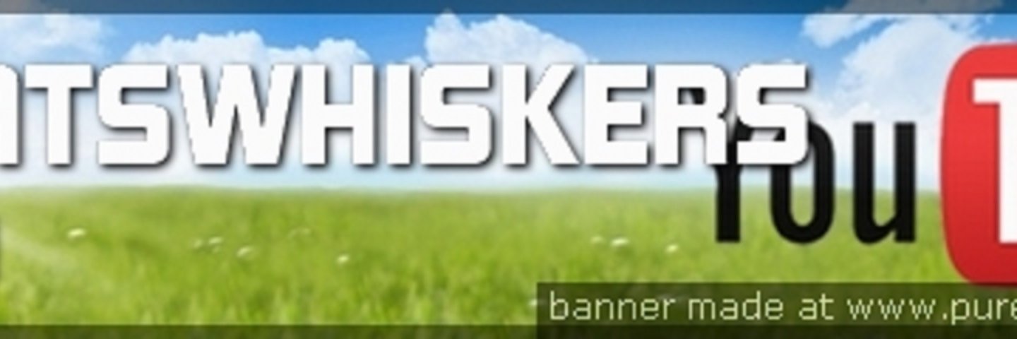 kevindeignan1's profile banner image