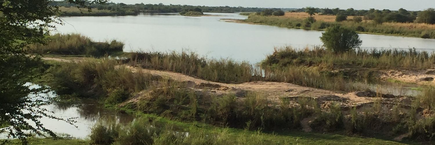 Steven Helmút banner