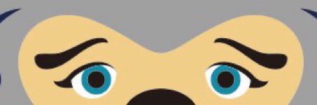 Rippyi banner