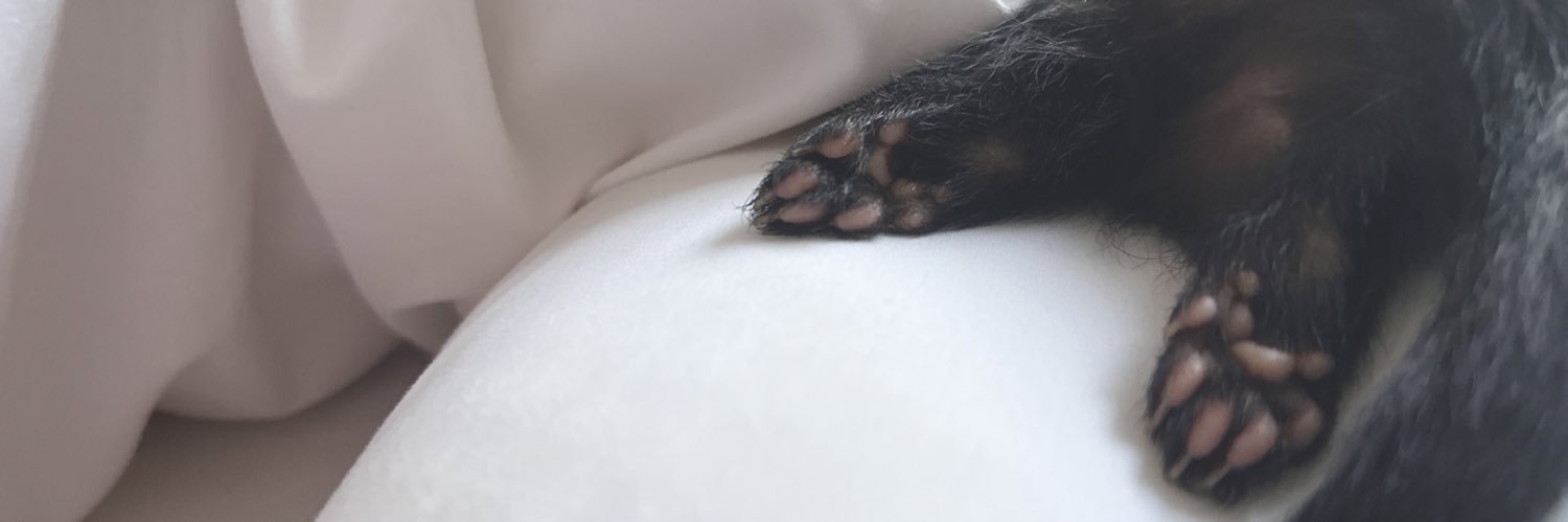 鈴木's banner