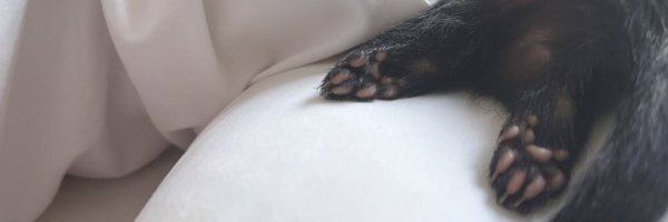___glrk Profile Banner