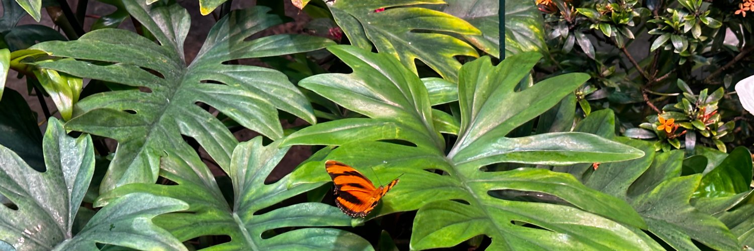 Megan Charlton banner